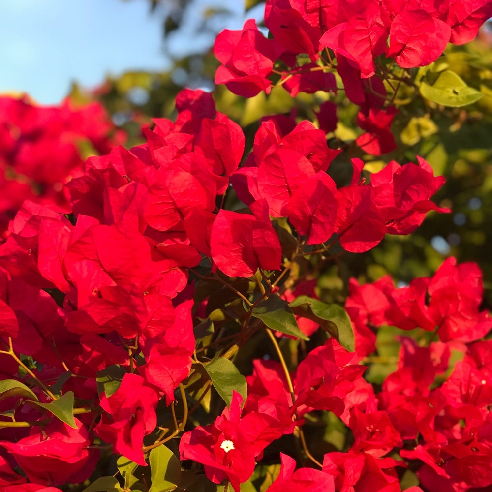 Meet your Posher, Emely